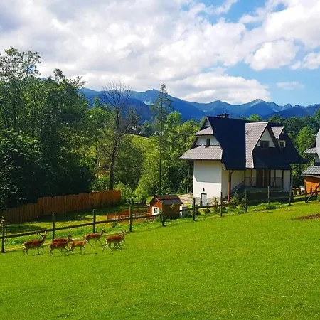 Gabi Z Balia W Ogrodzie Zakopane