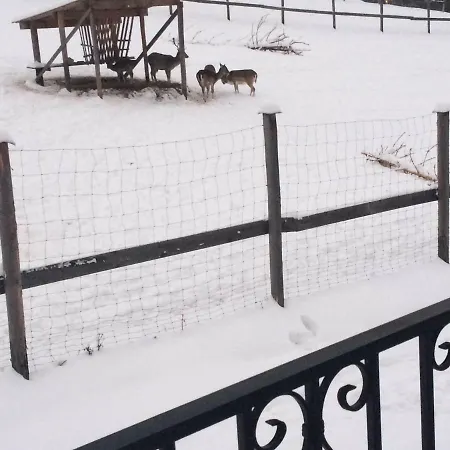 Gabi Z Balią W Ogrodzie Dom wakacyjny *