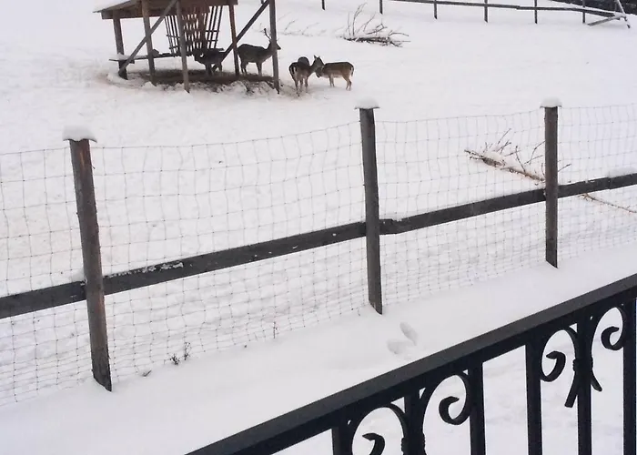 Gabi Z Balia W Ogrodzie Feriehus *